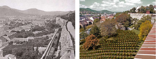 Szőlő a Vár oldalában a XIX. sz. végén és a tervezett szőlő a jövőben